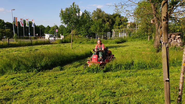 Wiese mähen