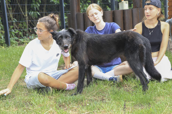 Die alte kranke Polly wohnt erst kurz auf dem Tierschutzhof. Sie saß lange in einem Tierheim, ohne, dass es Interessenten für sie gab. Aus dem teilnahmslosen Hund ist in kürzester Zeit eine fröhliche, kontaktfreudige Seniorin geworden.