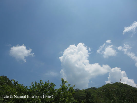 ♡　☀と☁と青空