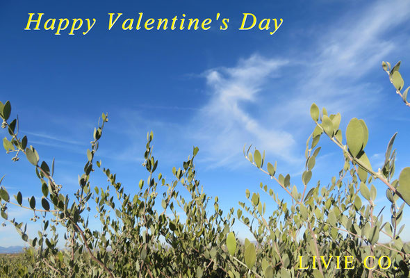 Happy Valentine's Day 