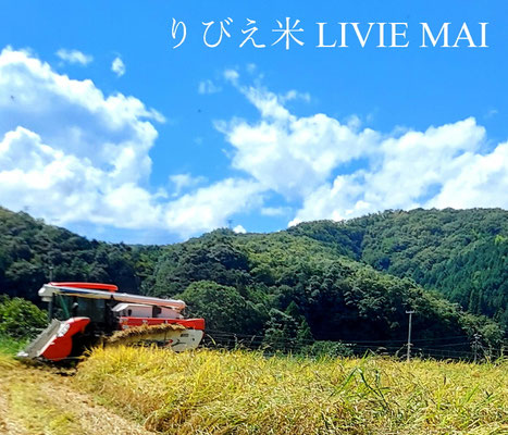 りびえ米 CLASSIC RICE LIVIE MAI