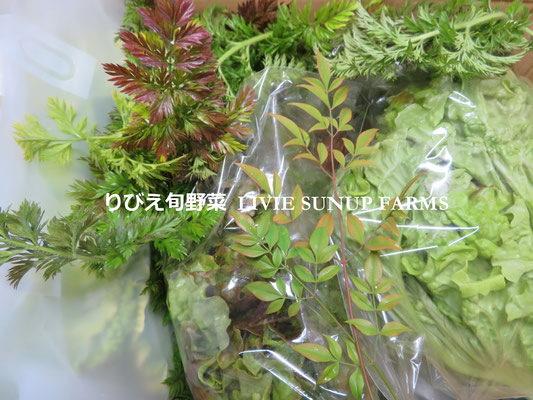 旬野菜☆Livie Seasonal Vegetables ☆冬・春☆ 