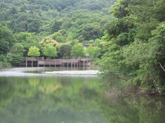 ♡　荒神谷遺跡内