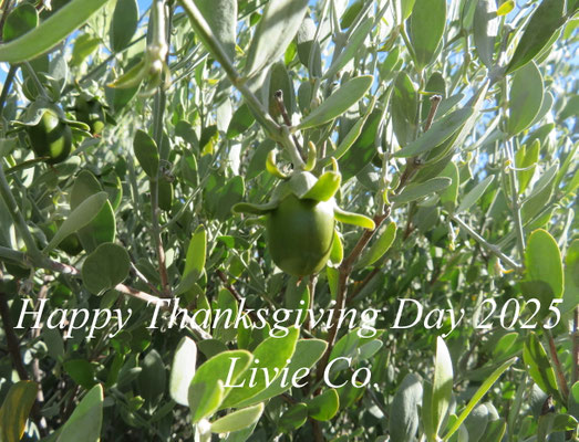 Happy Thanksgiving Day 2025♪