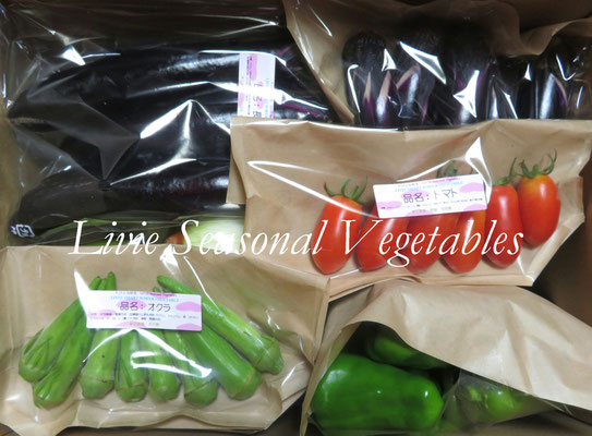 旬野菜＊夏～秋 ★ Livie Seasonal Vegetables