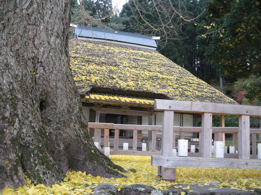 ♡　奥出雲　金言寺