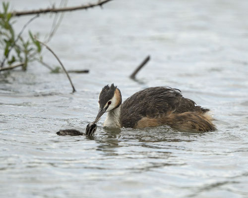 ein kleiner Ausflug....