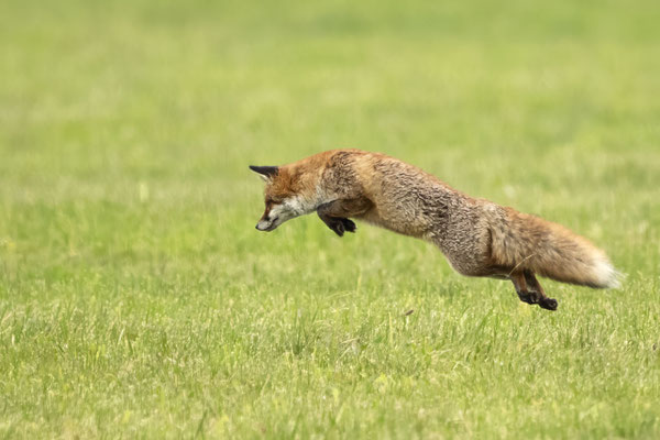 mein fleißiger Michl :-)