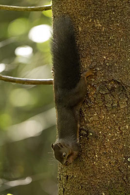 unbequeme Haltung zum Essen finde ich, aber nun.. :-)