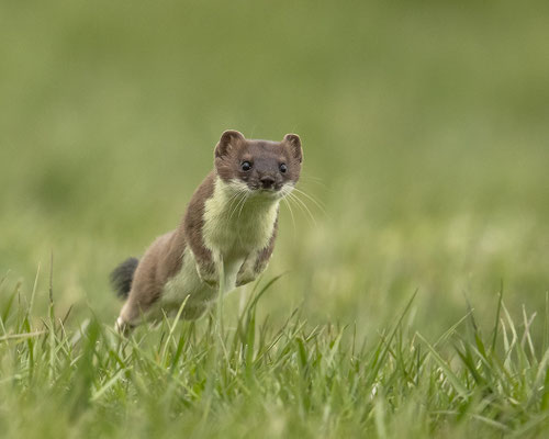 mein sportliches Hermi - mein Sohn :-)