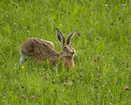 sooo lässt es sich leben  :-)