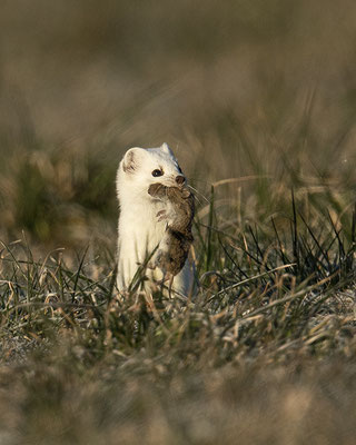 Frühstück ist gerettet :-)