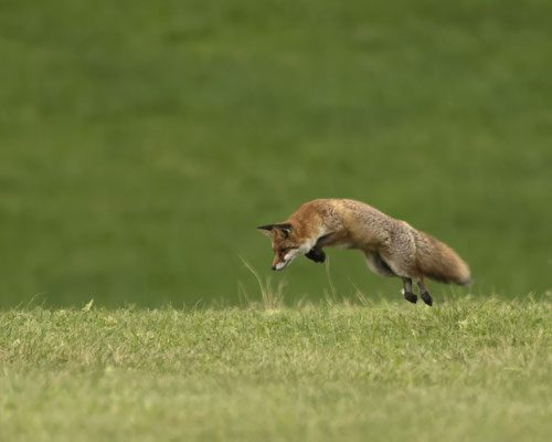 Schon im Winterfell?????