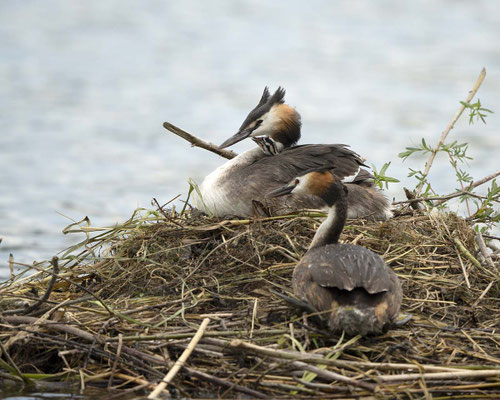 Bussi für die Mami...