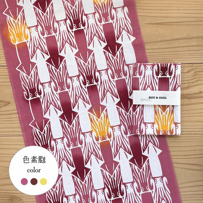 【HOT & COOL / 色素胞color】