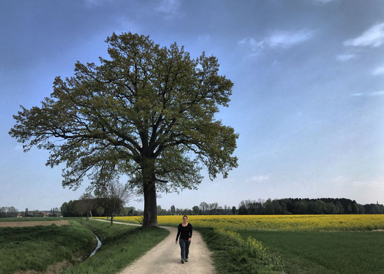 Auf dem Weg nach Altenbeuern