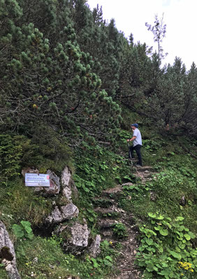 Einstieg zur schwierigsten Wegpassage auf die Hochsalwand