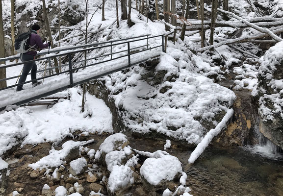 Brücke zur Wolfsschlucht