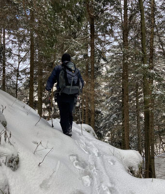 Auf dem Weg vom Arzmoos Richtung Mitteralm