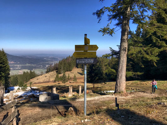 Auf dem Weg Richtung Bucher Alm