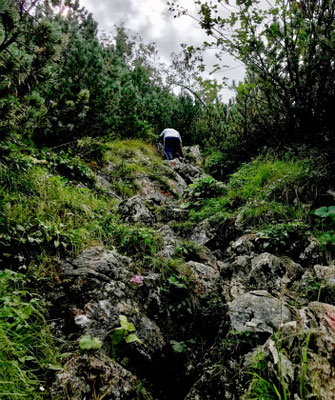 Seilversicherte Stelle auf dem Weg zur Hochsalwand