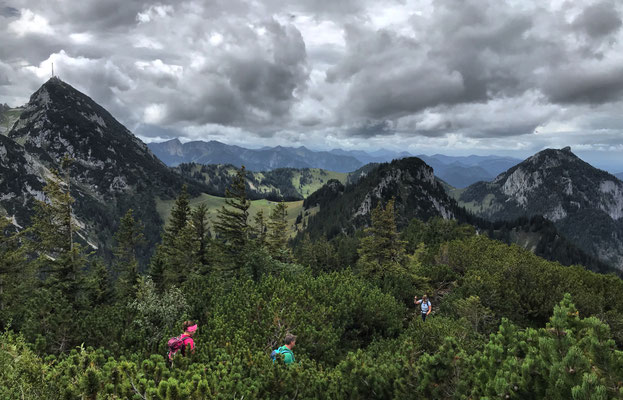 In den Latschen unterhalb der Hochsalwand
