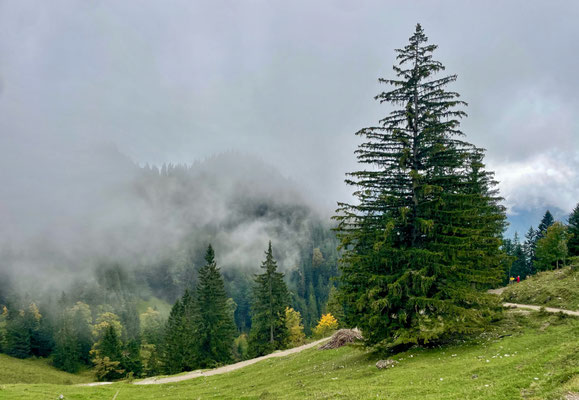 Abstieg von der Kesselalm