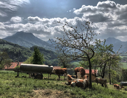 Bäuerliche Idylle