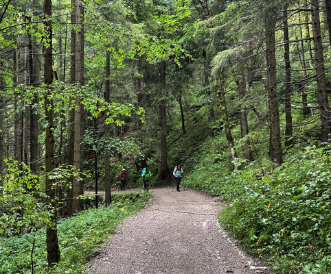 Abstieg von der Kesselalm