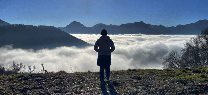 Ausblick kurz vor der Dandlberg-Alm