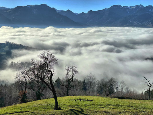 Ausblick von der Dandlberg-Alm