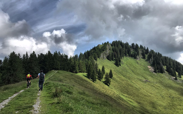 Weg vom Feichteck-Sattel zum Karkopf