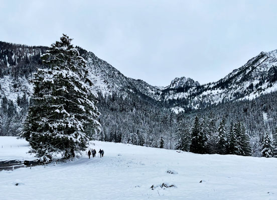 Blick von der Niederhofer Alm nach Westen