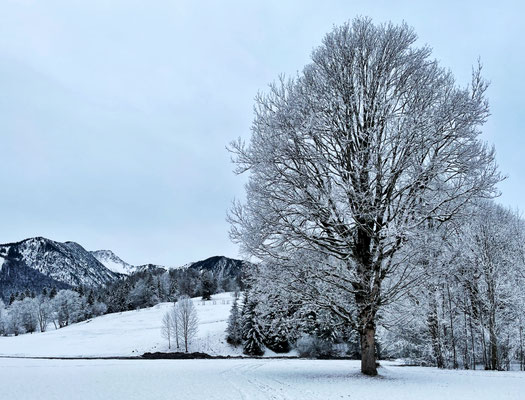 Märchenhafte Winterlandschaft