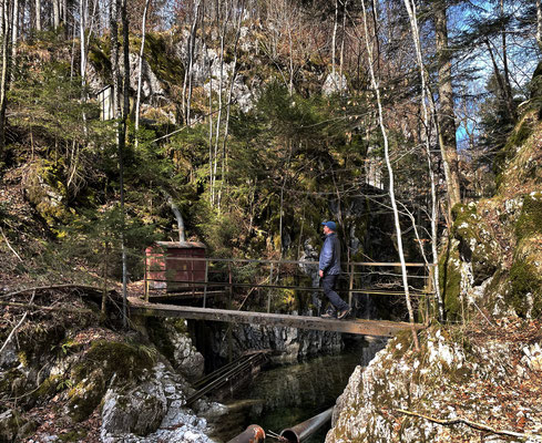 Brücke über den Förchenbach am Tunnelberg