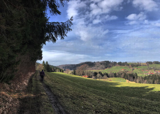 Auf dem Weg nach Weißenbach