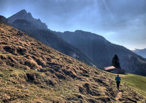 Blick auf die Spitzing-Alm mit dem Wendelstein im Hintergrund