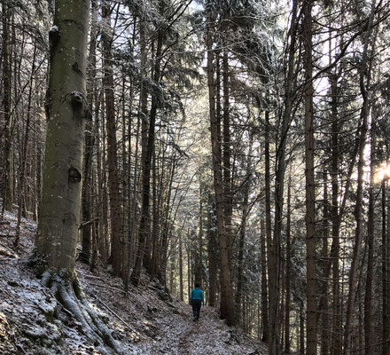 Aufstieg von Bayrischzell zur Alten Tanner-Alm