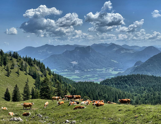 Bergauf zur Rampoldplatte