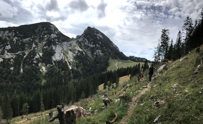 Auf dem Weg zur Reindler-Alm