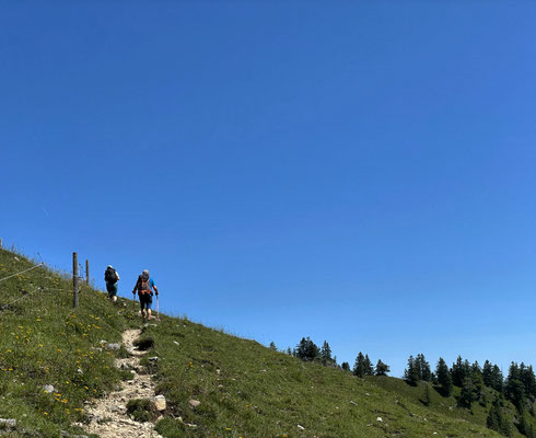 Bergauf zur Rampoldplatte