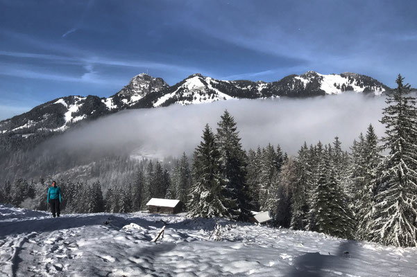 An der Alten Tanner-Alm mit Wendelstein und Wildalpjoch im Hintergrund