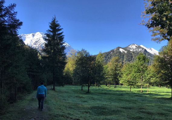 Weg entlang des Alpbachs