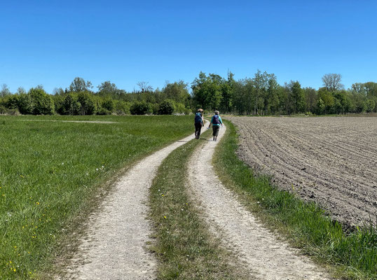 Über die Felder zum Happinger Ausee