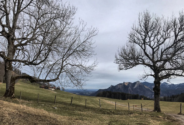 Hohe Asten im Blick