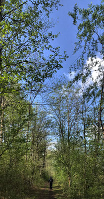 Weg zwischen Happinger See und Inn