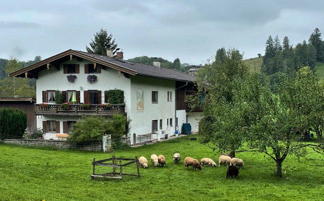Ländliche Idylle