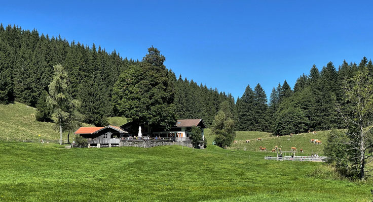 Wirtsalm