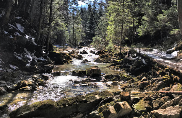 Oberhalb des Jenbachfalls