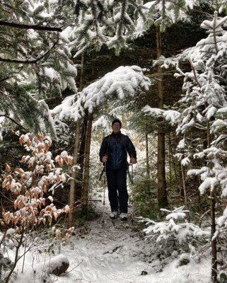 Auf schmalen Pfaden durch den Wald zur Dandlbergalm